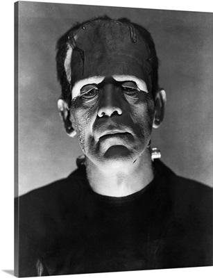 Bride Of Frankenstein, 1935