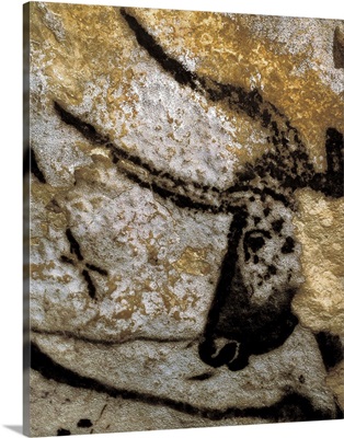 Bull head in the Cave of Lascaux, France