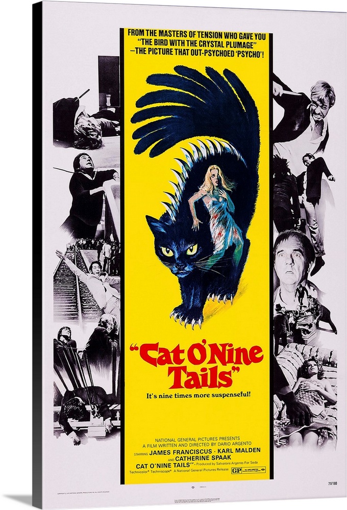 Cat O' Nine Tails - Vintage Movie Poster, 1971