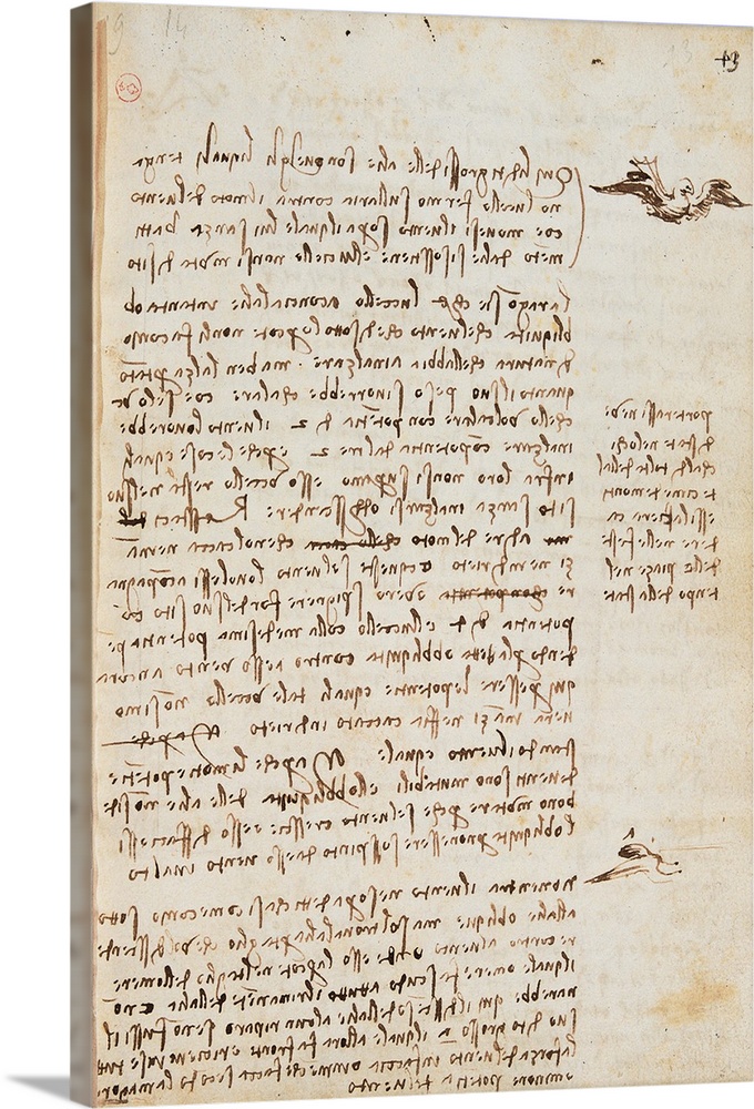 Page from the Codex regarding the Flight of Birds, by Leonardo da Vinci, 16th Century, 1505 -1506 about, paper manuscript,...