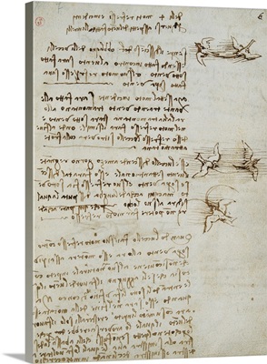 Codex on the Flight of Birds, by Leonardo da Vinci, 1505-1506. Royal Library, Turin