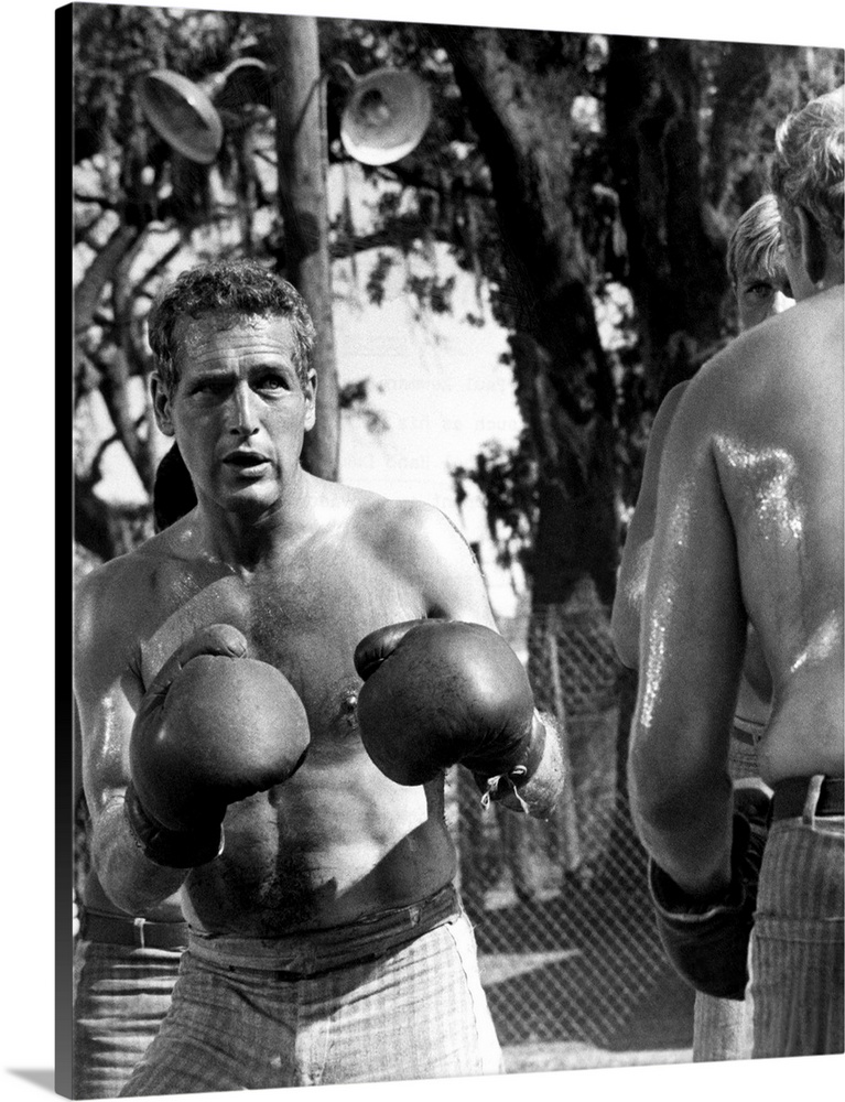 COOL HAND LUKE, Paul Newman , 1967.