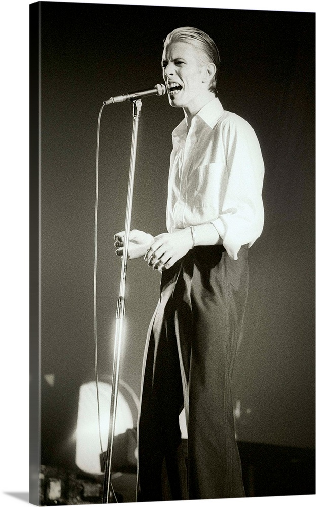 David Bowie on stage, Isolar-1976 Tour (Thin White Duke Tour), Vorst Nationaal, Brussels, Belgium , May 11, 1976.