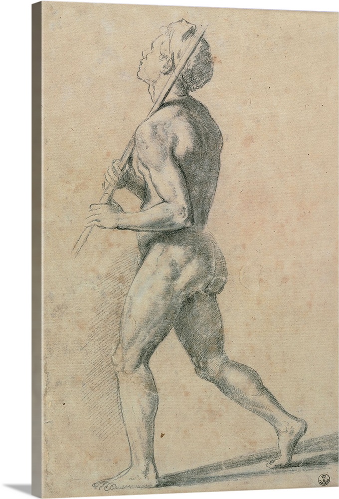 Sanzio Raffaello, Male Nude Walking to the Left with a Stick Resting on his Left Shoulder, 1483 - 1520, 16th Century, penc...