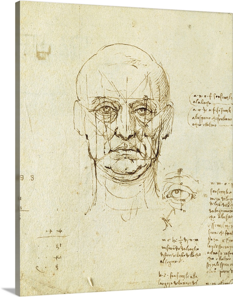 da vinci proportions of the human figure