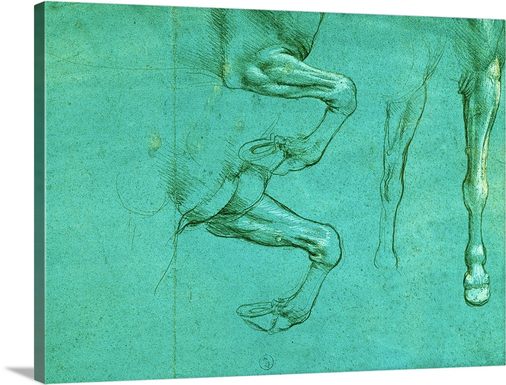 Studies of horse front legs, by Leonardo da Vinci, 15th Century, 1490 about, metal tip and highlights of white lead on blu...