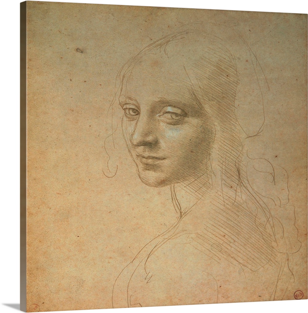 Portrait of a Girl, by Leonardo da Vinci, 15th Century, 1483 -1484 about, metal point (probably gold) with white heighteni...