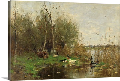 Ducks Beside a Duck Shelter on a Ditch, 1884, Dutch painting, oil on canvas