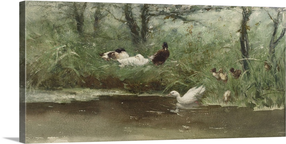 Ducks in the Ditch, by Willem Maris, c. 1880-1900, Dutch painting, watercolor on paper.