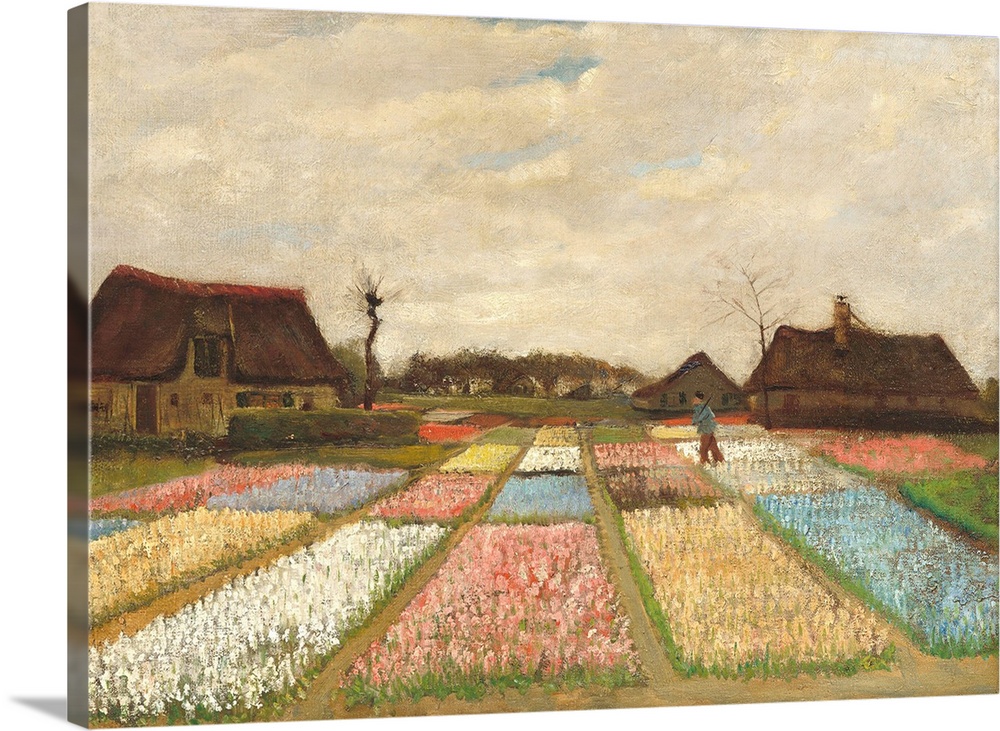 Flower Beds in Holland, by Vincent van Gogh, 1883, Dutch Post-Impressionist painting, oil on canvas. Also called the 'Bulb...