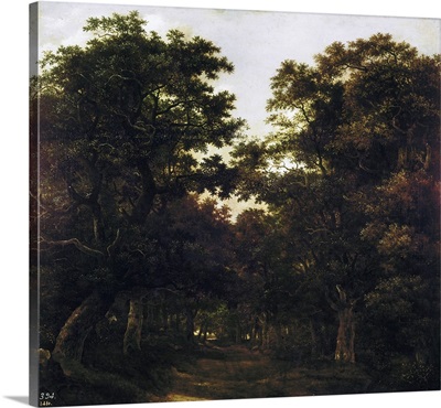 Forest. Jacob van Ruisdael