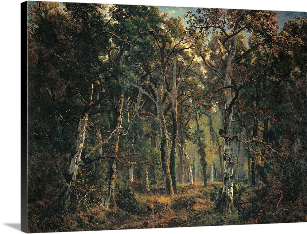 The Forest of Fontainebleau, by Giuseppe Palizzi, 1874, 19th Century, oil on canvas, cm 232 x 321 - Italy, Lazio, Rome, Na...