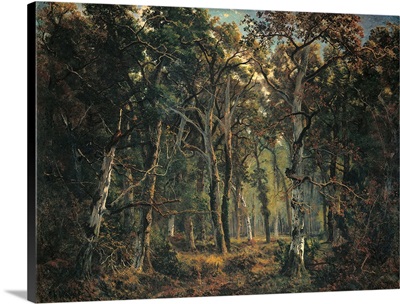 Forest of Fontainebleau, by Giuseppe Palizzi, 1871. Rome, Italy