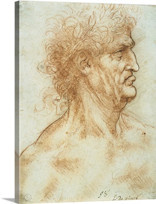 Head of a man in profile, crowned with laurel, by Leonardo da Vinci, c.1506-1508