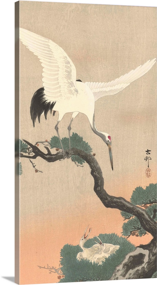 Japanese Crane on Pine Branch, by Ohara Koson, 1900-30, Japanese print, color woodcut.