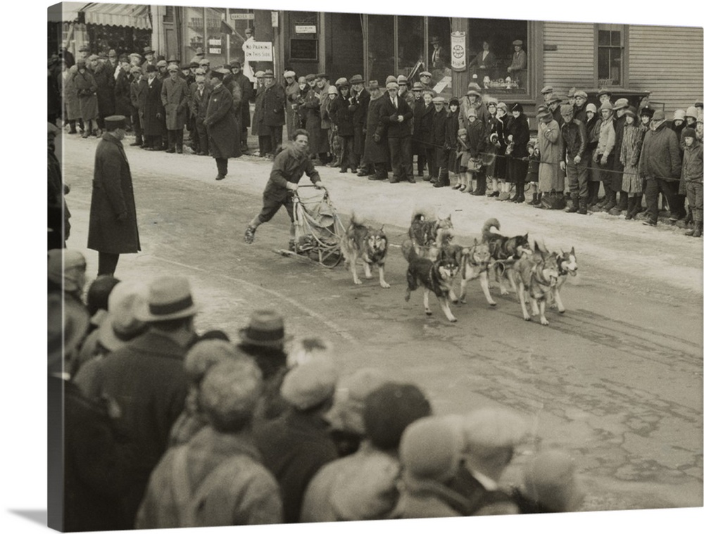 Leonhard Seppala and his Siberian huskies, finishing first in the forty miles at Laconia, N.H. February 1929. He was racin...