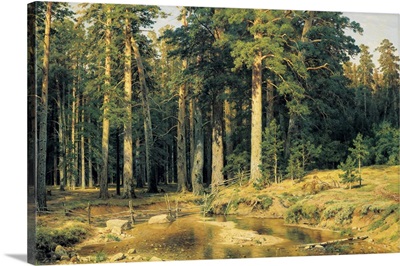 Mast-Tree Grove, 1898