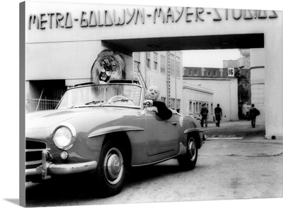 North By Northwest, Alfred Hitchcock In A Car With Leo The Lion On The MGM Lot, 1959