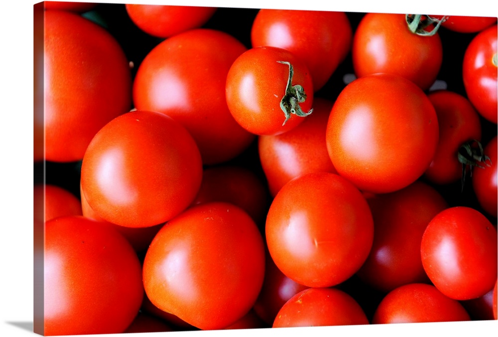 Organic Food, Tomatoes