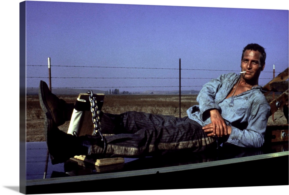 Paul Newman, Cool hand Luke, 1967