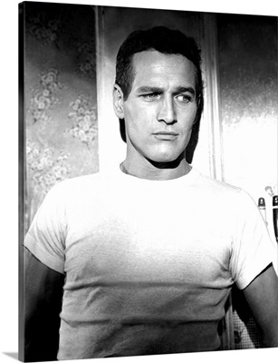 Paul Newman in The Hustler - Vintage Publicity Photo