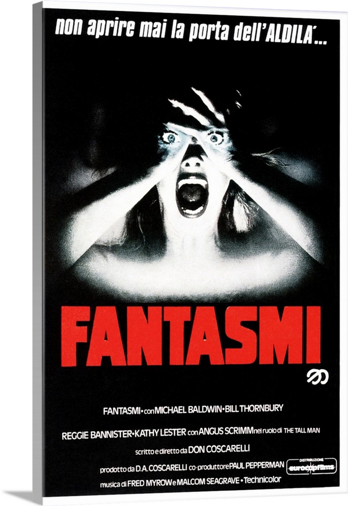 Phantasm - Vintage Movie Poster (Italian)