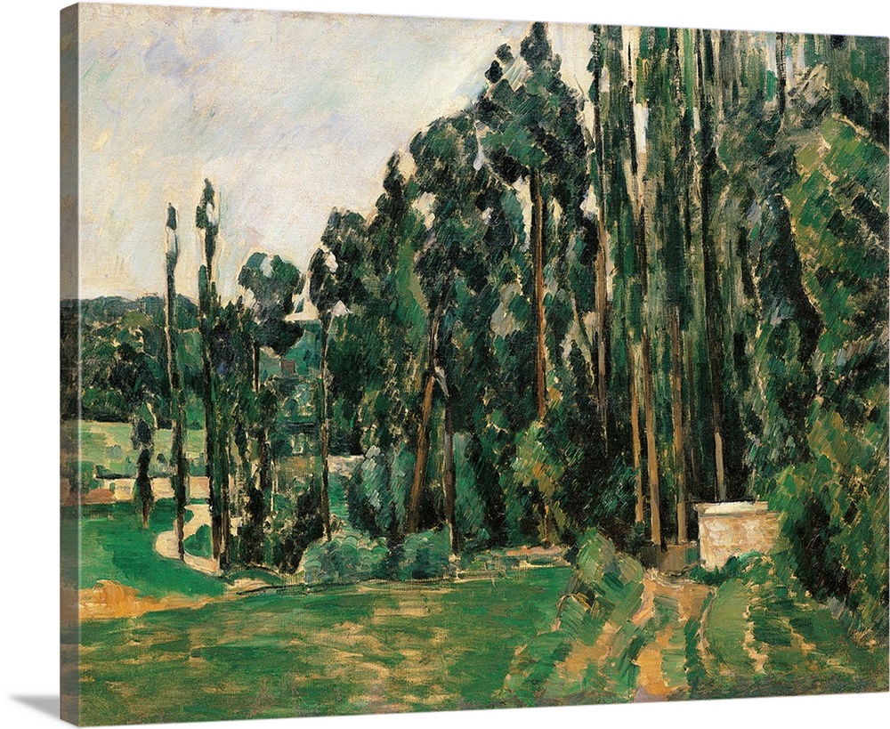The Poplars, by Paul Czanne, 1879 - 1892 about, 19th Century, oil on canvas, cm 65 x 81 - France, Ile de France, Paris, Mu...