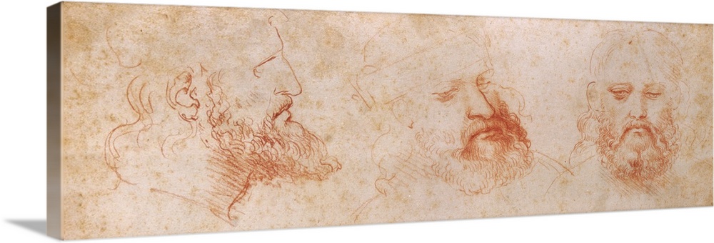 Leonardo da Vinci, Profile, three-quarter and frontal study of a male head, possibly a portrait of Cesare Borgia, 1502, 16...