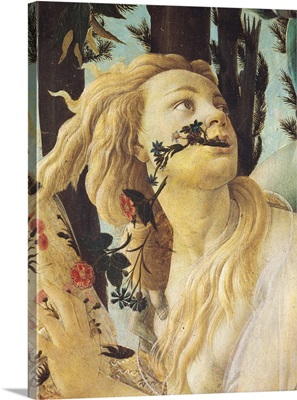 Primavera, Face Of Clori, By Botticelli, C. 1478, Uffizi Gallery, Florence, Italy