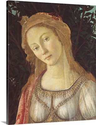 Primavera, Face Of Venus, By Botticelli, C. 1478, Uffizi Gallery, Florence, Italy