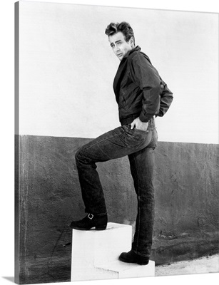 Rebel Without A Cause, 1955