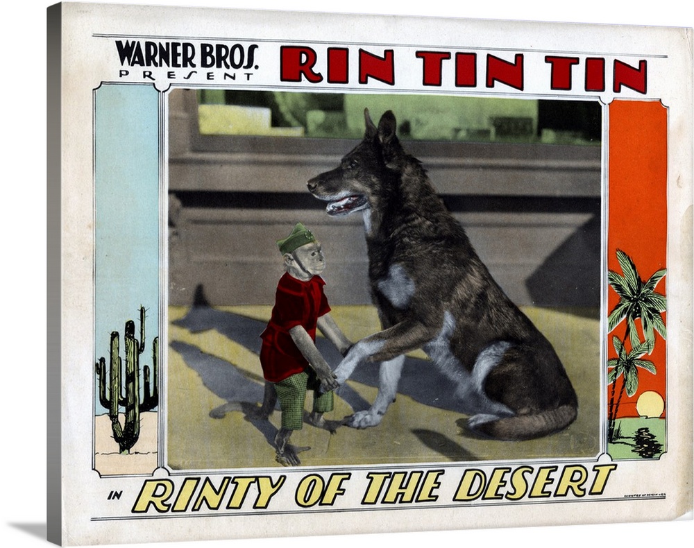 Rinty Of The Desert, Rin Tin Tin, 1928.
