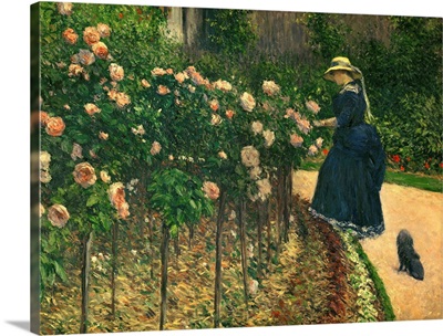 Roses in the Garden at Petit Gennevilliers, 1886