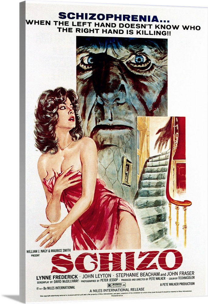 Schizo - Vintage Movie Poster