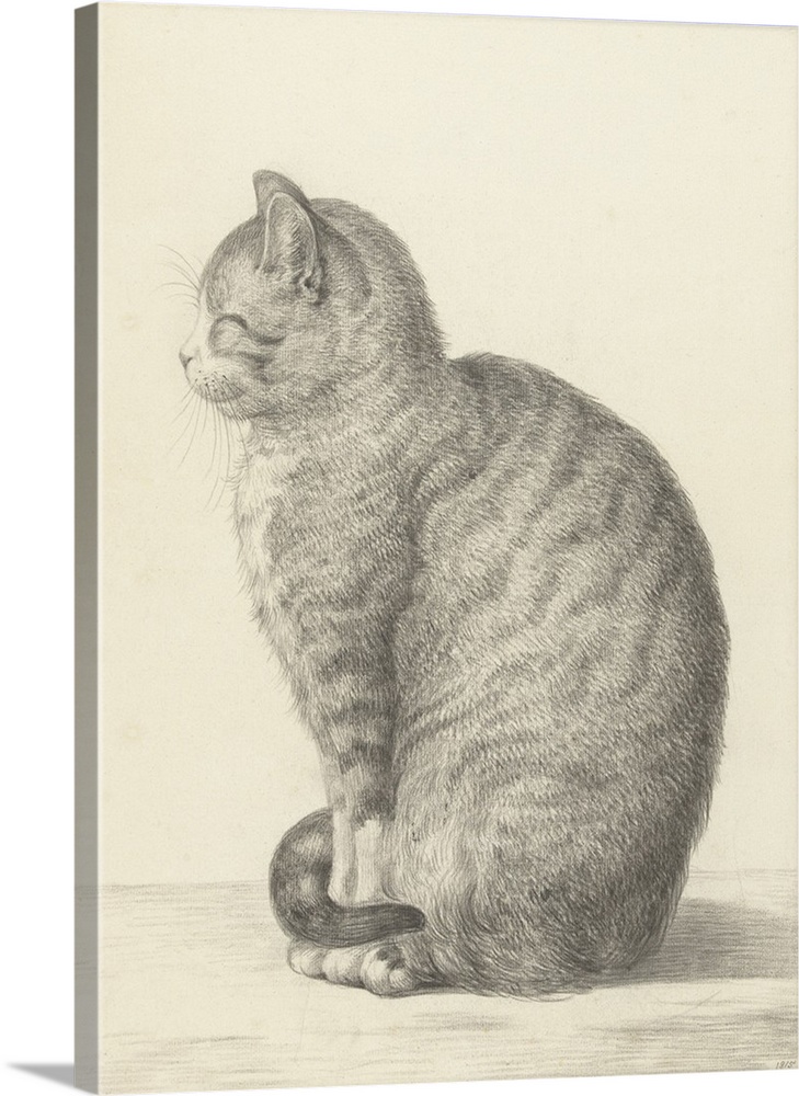 Sitting Cat, Facing Left, by Jean Bernard, 1825, Dutch chalk and pencil drawing.
