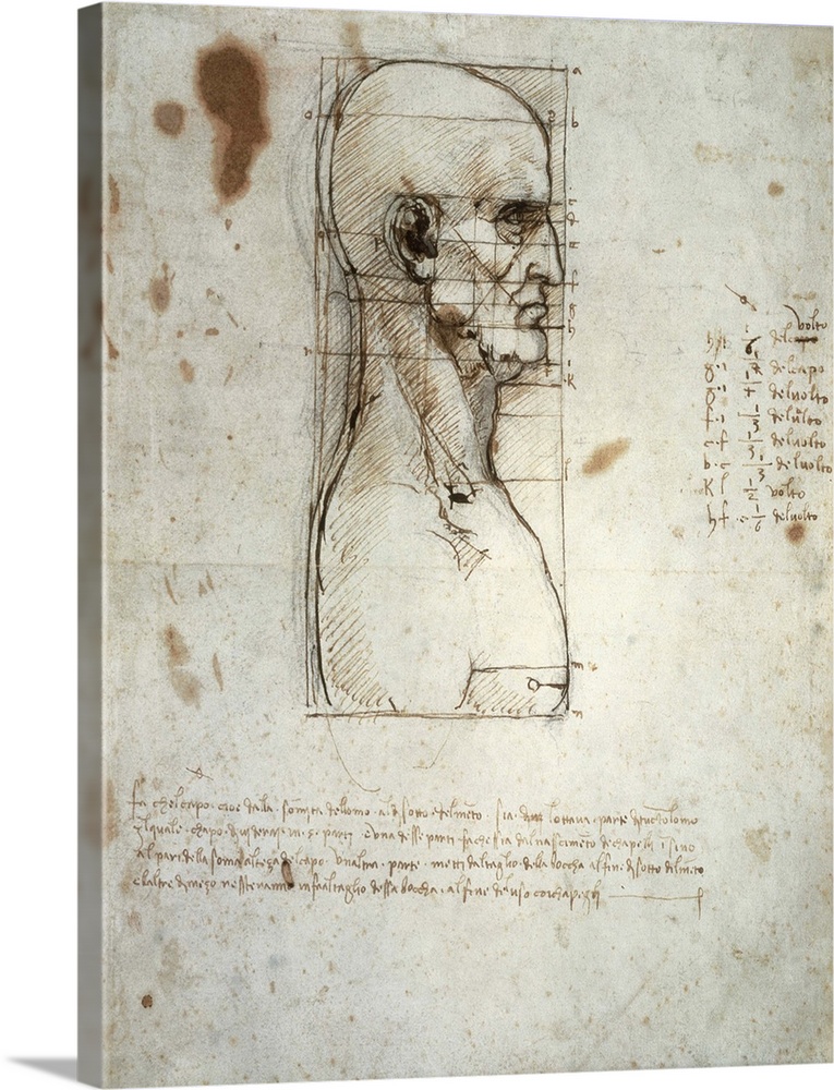 LEONARDO DA VINCI (1452-1519). Sketch of the head proportions. From Vitruvius The Ten Books on Architecture. Drawing. ITAL...
