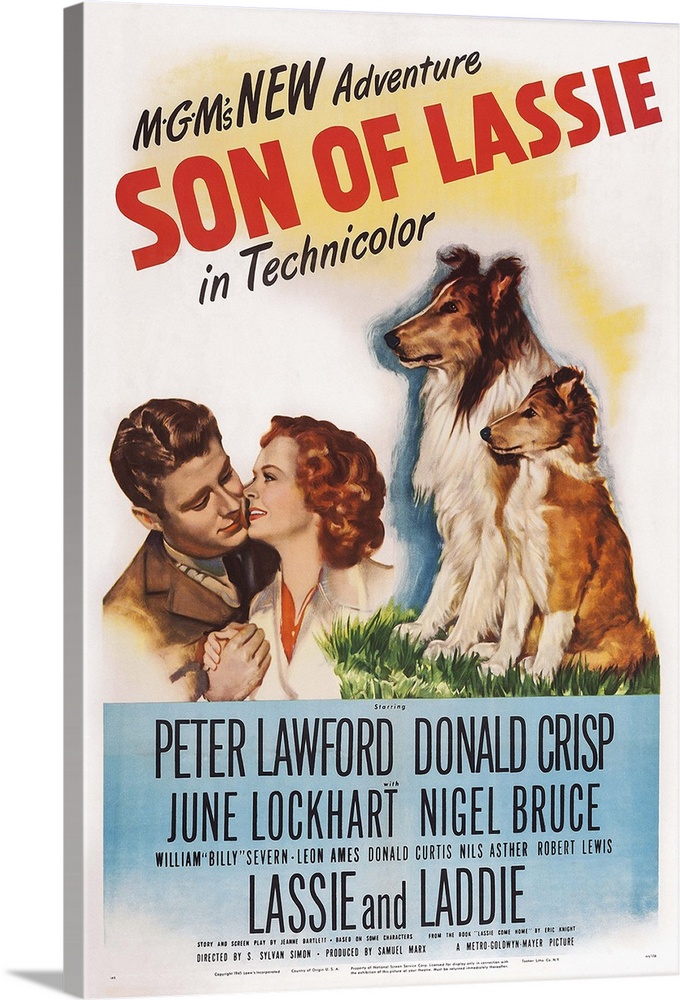 Son Of Lassie, US Poster Art, Peter Lawford, June Lockhart, 1945