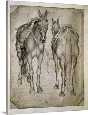 Study of Two Horses. Ca. 1400-55. Drawing by Antonio Pisanello. Louvre Museum, Paris
