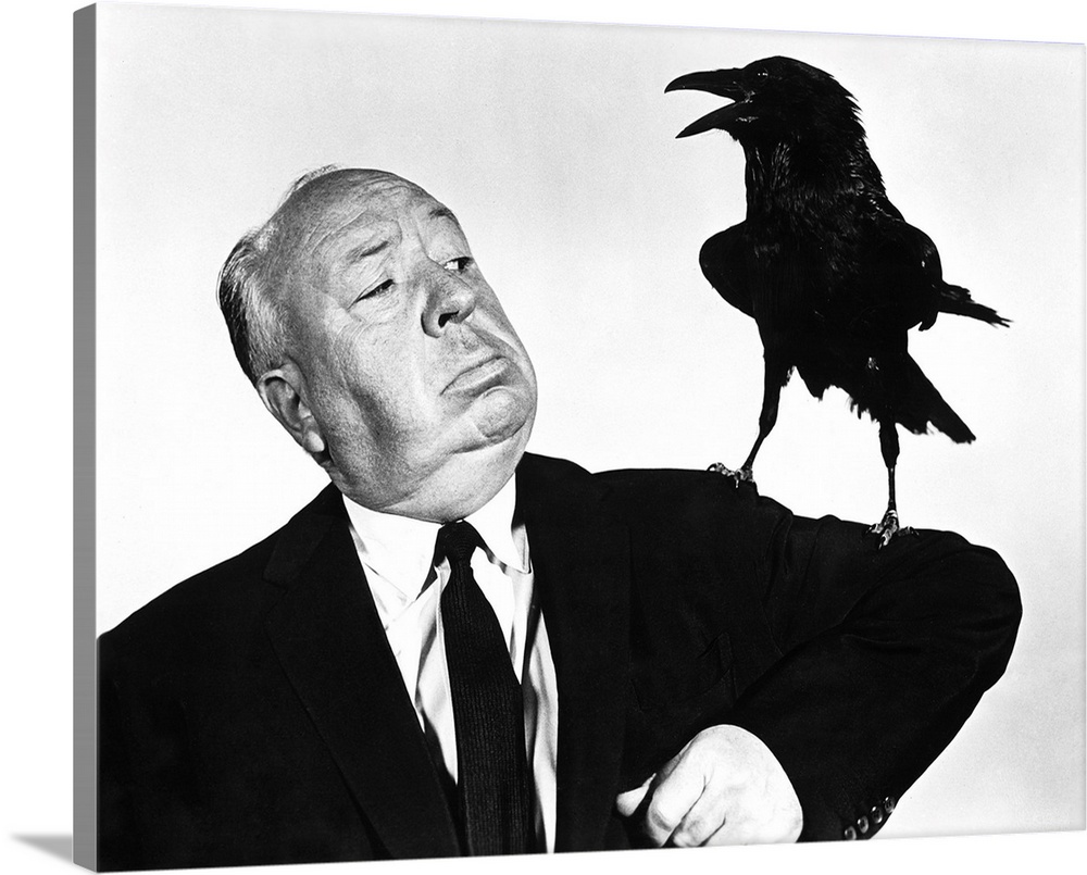 THE BIRDS, director Alfred Hitchcock, publicity shot, 1963.