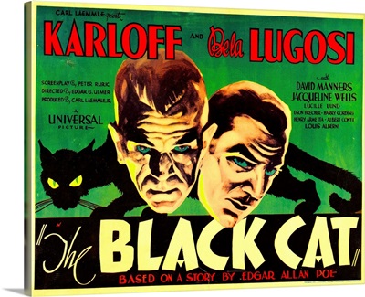 The Black Cat - Vintage Movie Poster