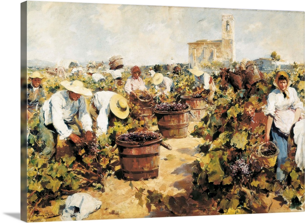 The Grape Harvest. Arcadi Mas i Fondevila