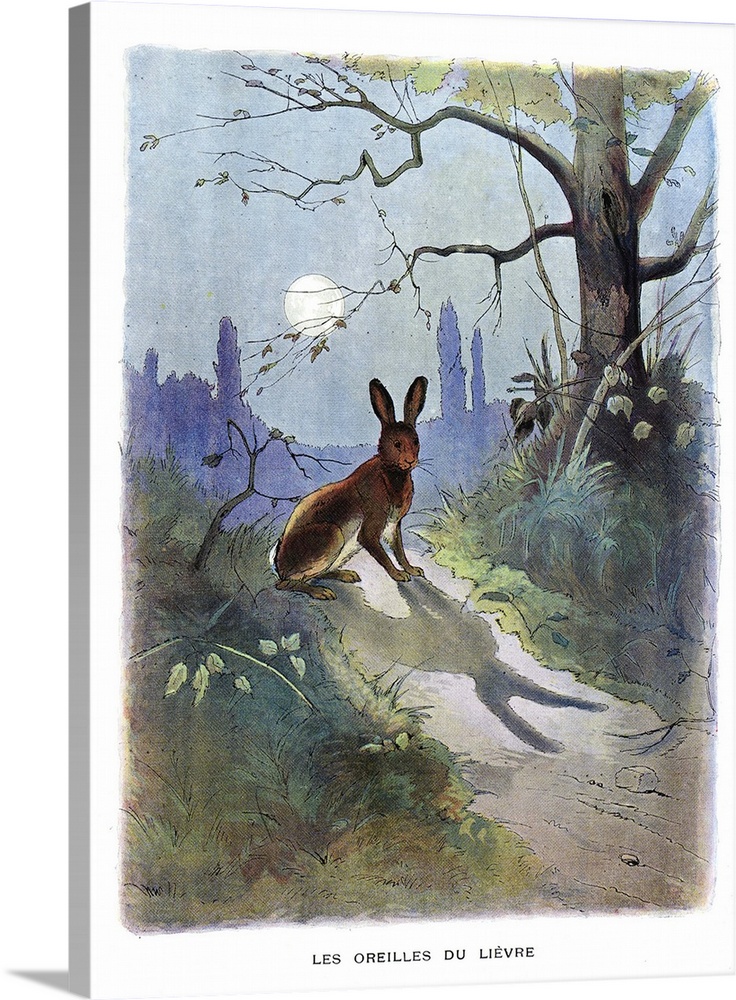 La Fontaine's Fables: The Hare afraid by his Ears. Private Collection. C18197 / / Fable de La Fontaine : Les oreilles du l...