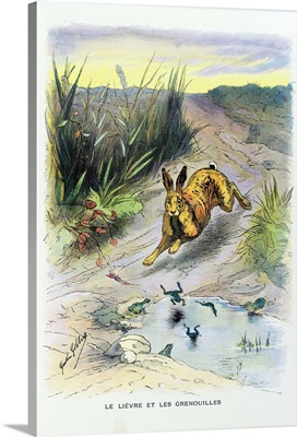 The Hare and the Frogs, La Fontaine's Fables, 1900