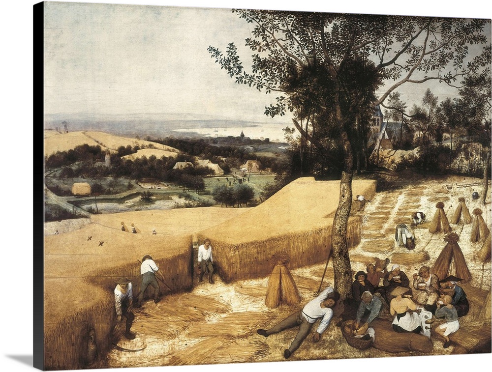 The Harvesters (1525-1569)