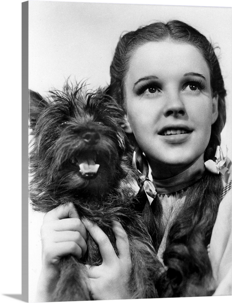 THE WIZARD OF OZ, Toto, Judy Garland, 1939.