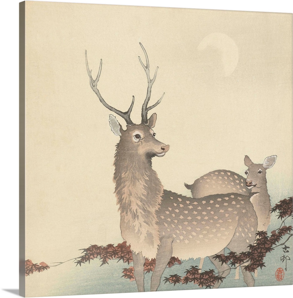 Two Deer, by Ohara Koson and Matsuki Heikichi, c. 1900-30, Japanese print, woodcut,.