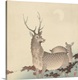image thumbnail of Two Deer, by Ohara Koson and Matsuki Heikichi, c. 1900-30, Japanese print, woodcut,.