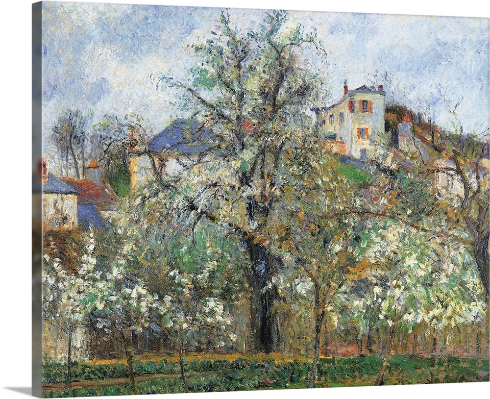 Vegetable Garden and Trees in Blossom, Spring, Pontoise, by Camille Pissarro, 1877, 19th Century, oil on canvas, cm 65,5 x...
