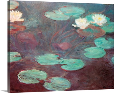 Water lilies (or Nympheas), by Claude Monet, 1906. National Gallery, Modern Art, Rome