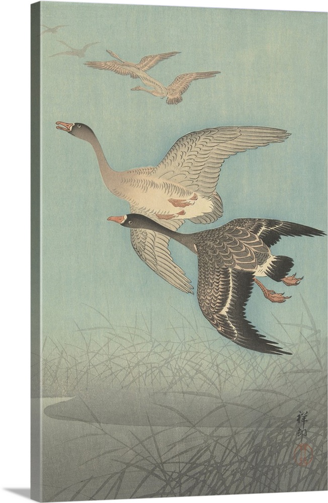 White-Fronted Geese in Flight, by Ohara Koson, 1925-36, Japanese print, color woodcut.